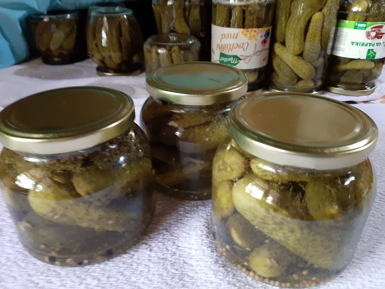 vlaganje kumaric