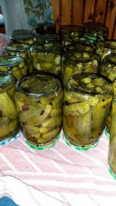 kako vložimo najboljše kisle kumarice